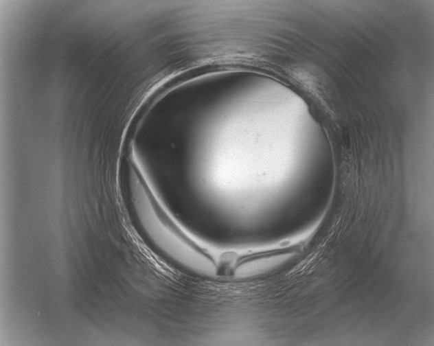 X0000056370932200509161850