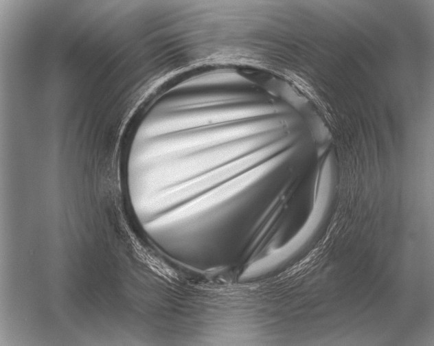 X0000056370934200509161850