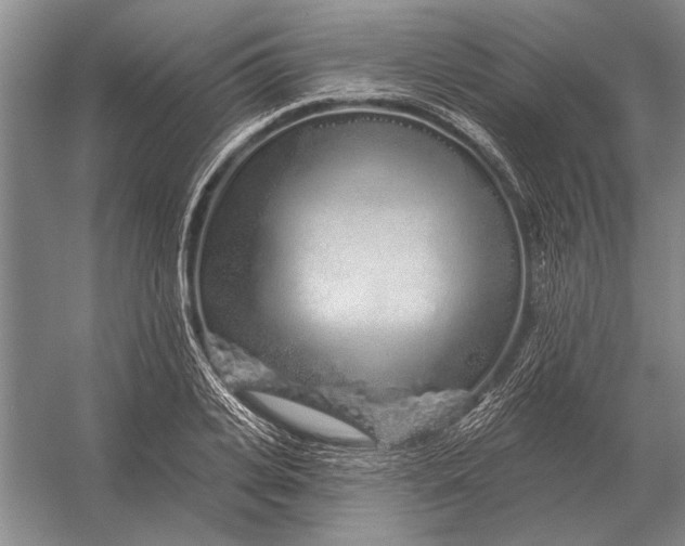 X0000056370935200509161850