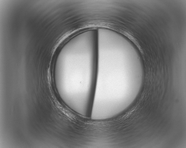 X0000056370936200509161850