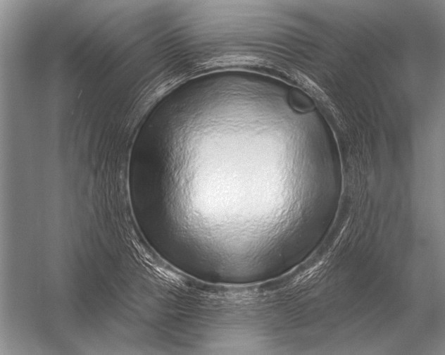 X0000056370937200509161850