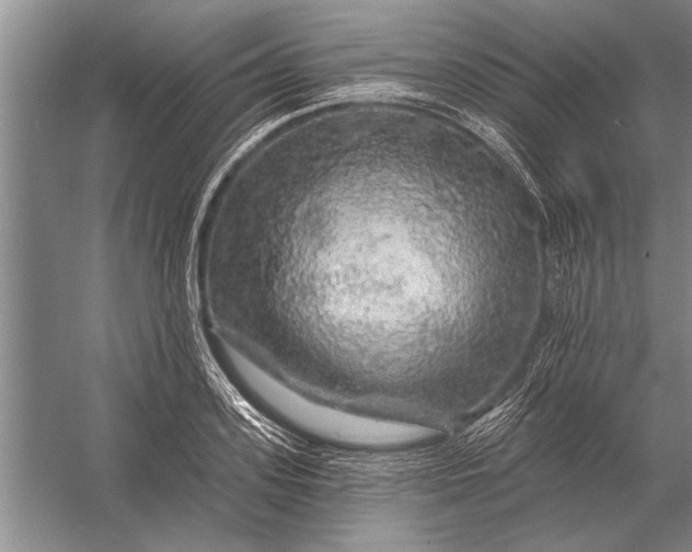 X0000056370939200509161851