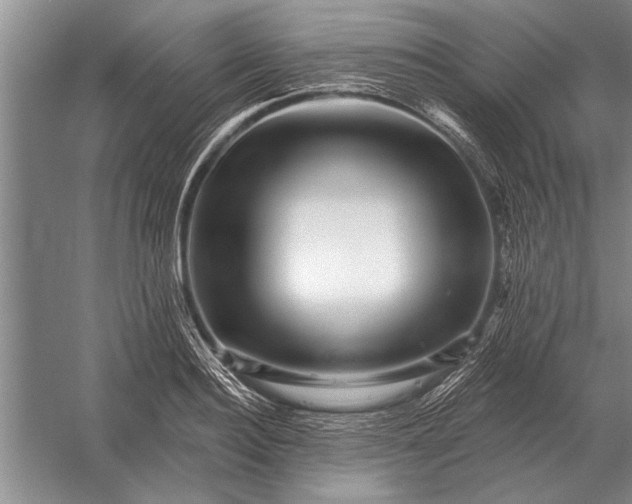 X0000056370940200509161851