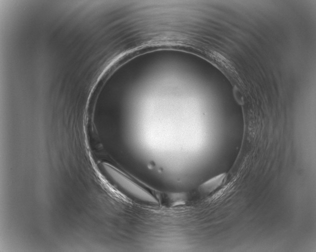 X0000056370942200509161851