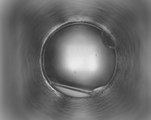 X0000056370943200509161851