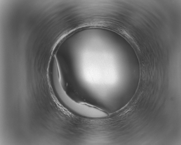 X0000056370944200509161851