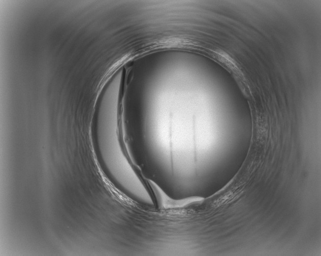 X0000056370946200509161851