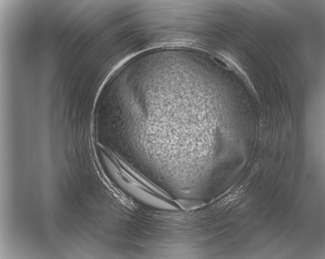 X0000056370948200509161851