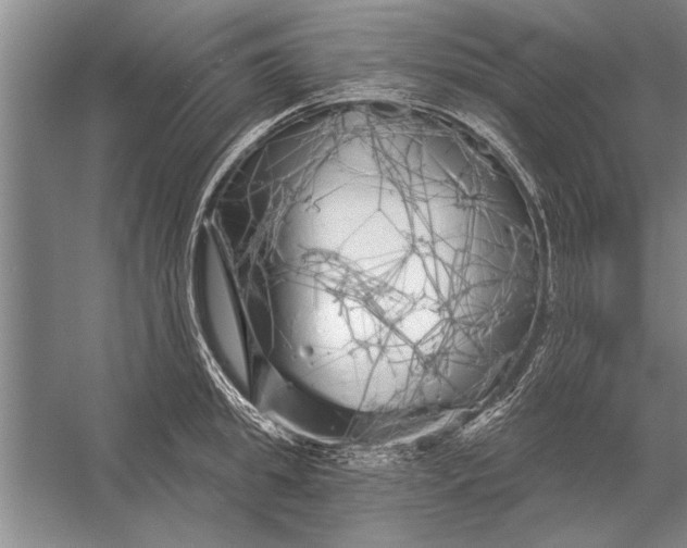 X0000056370949200509161851