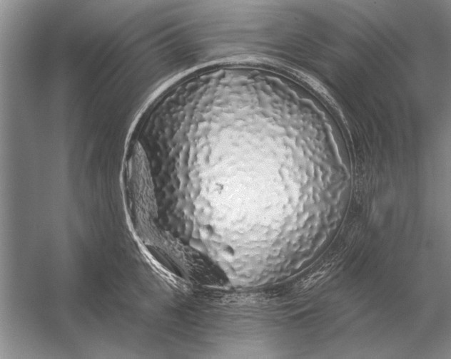 X0000056370951200509161851