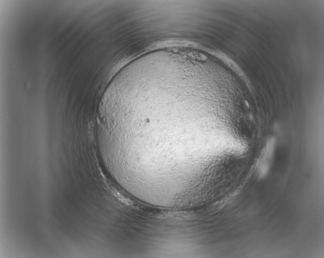 X0000056370953200509161851