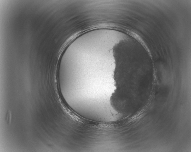 X0000056370954200509161851