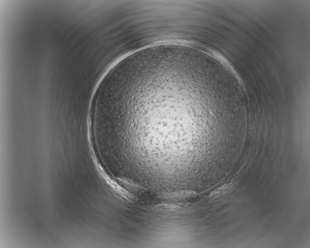 X0000056370955200509161851