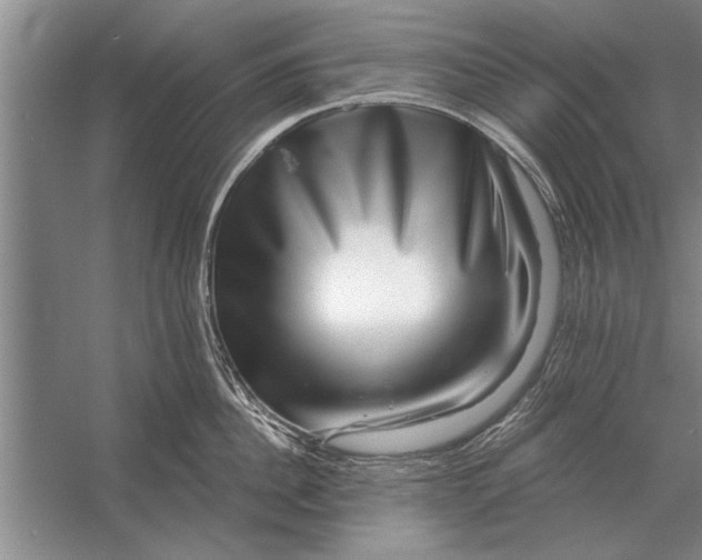 X0000056370956200509161851