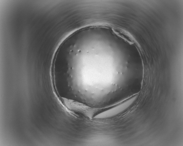 X0000056370959200509161851