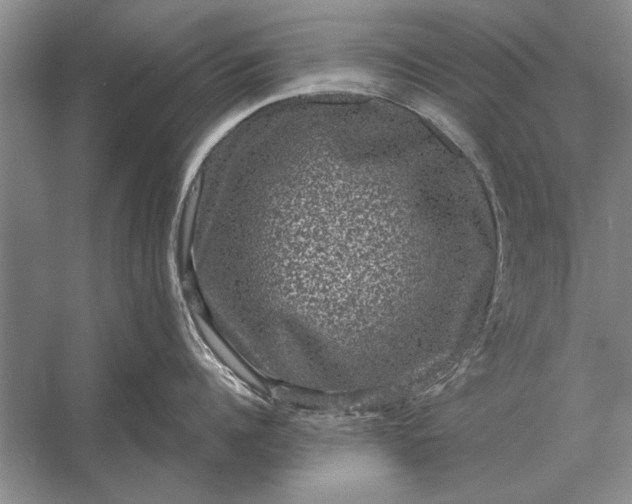 X0000056370960200509161851