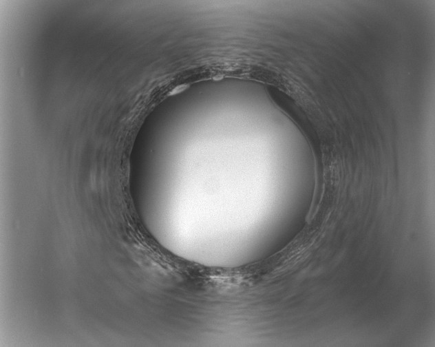 X0000056370961200509161850