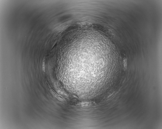 X0000056370963200509161850