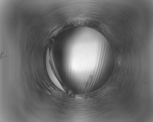 X0000056370964200509161850