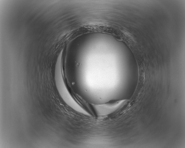 X0000056370965200509161850