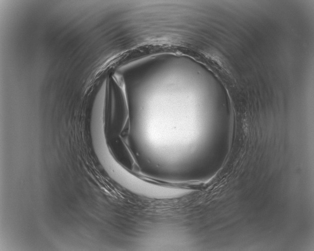 X0000056370968200509161850