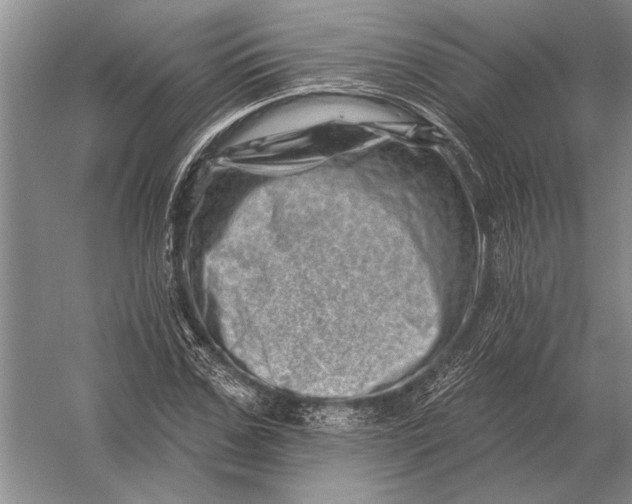 X0000056370971200509161850