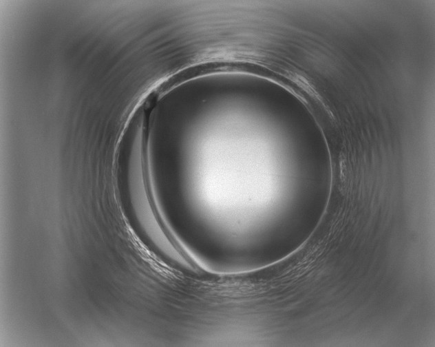 X0000056370972200509161850