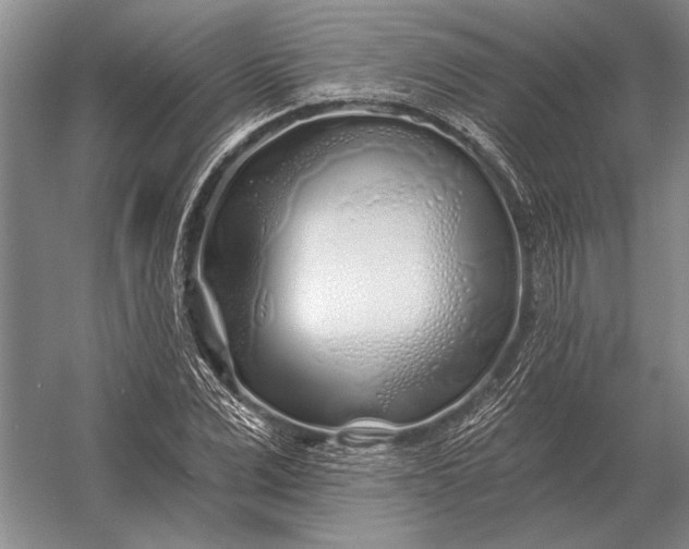 X0000056370975200509161850