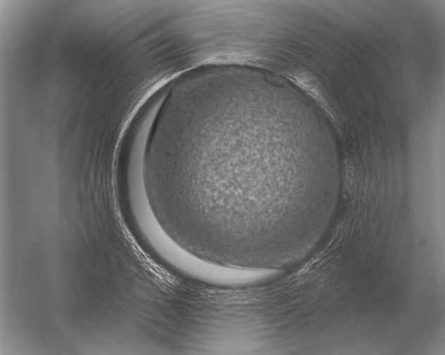 X0000056370976200509161850