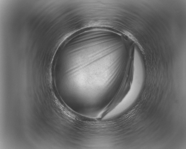 X0000056370980200509161850