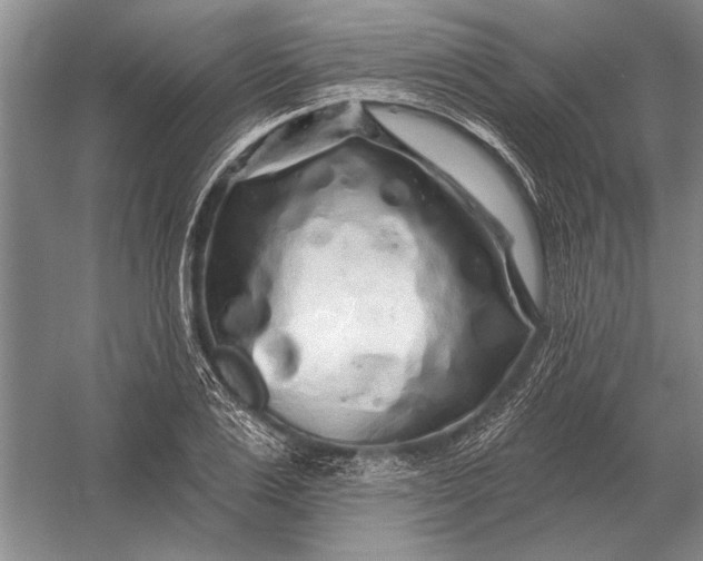 X0000056370983200509161850