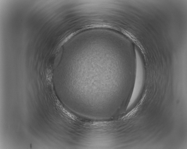 X0000056370985200509161850