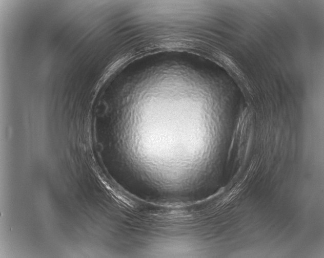 X0000056370986200509161850