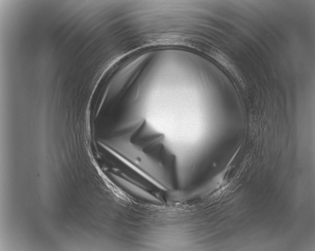 X0000056370988200509161850