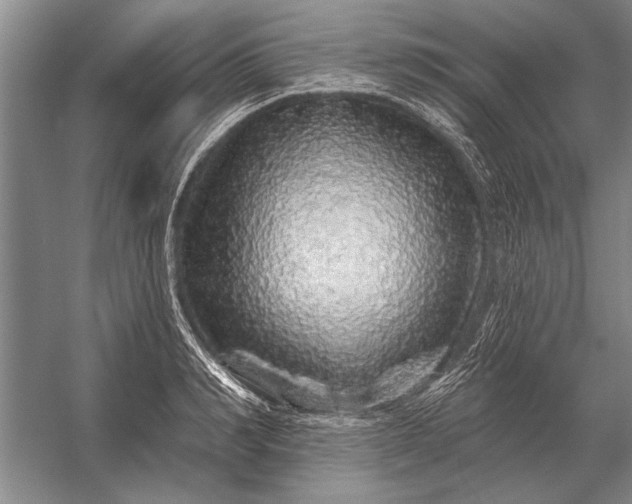 X0000056370990200509161850