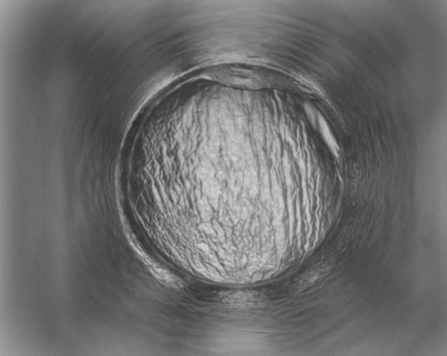 X0000056370991200509161850