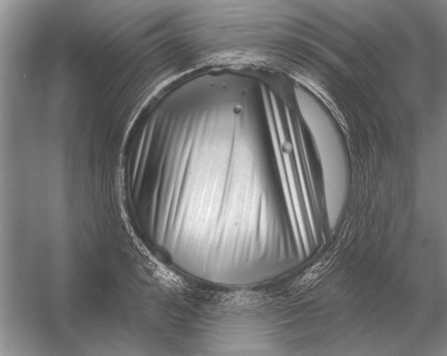 X0000056370992200509161850