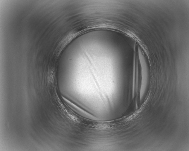 X0000056370993200509161850