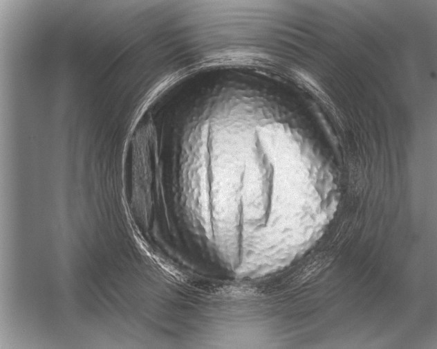 X0000056370994200509161850