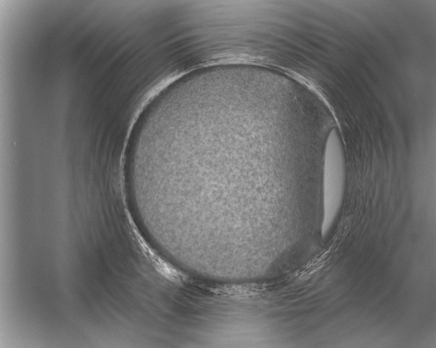 X0000056370995200509161849