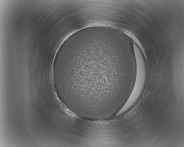 X0000056370996200509161849