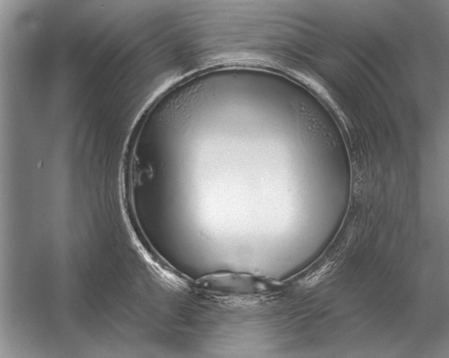 X0000056370999200509161849