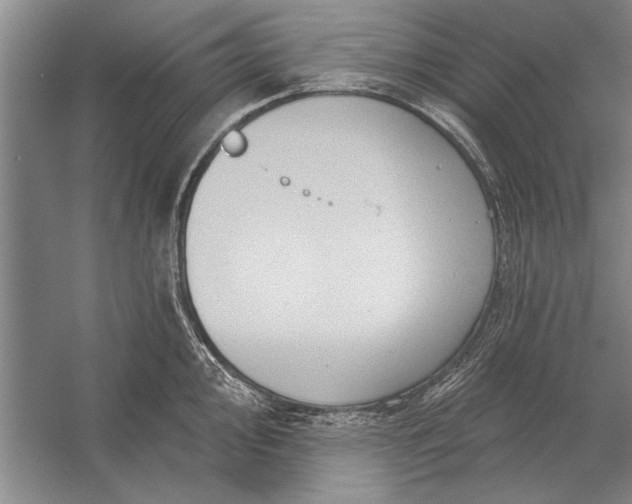 X0000056371000200509161849