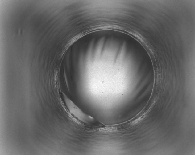 X0000056371001200509161849