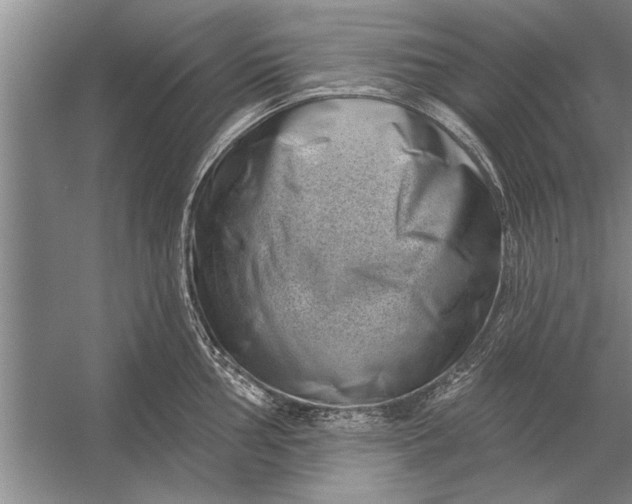 X0000056371002200509161849