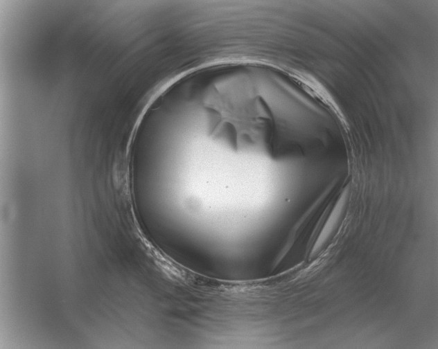 X0000056371004200509161849