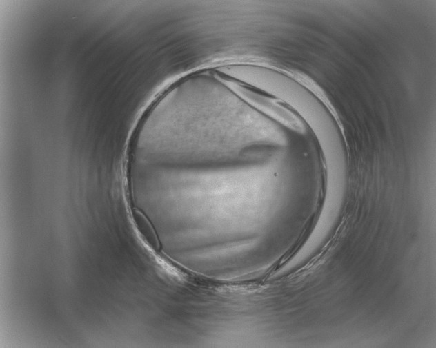 X0000056371005200509161849