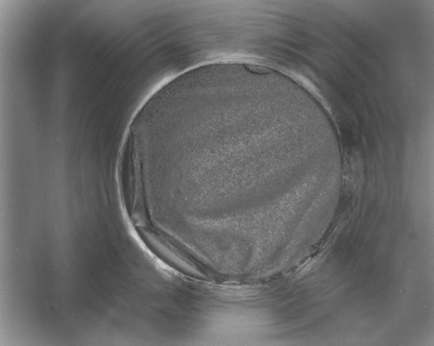 X0000056371007200509161849