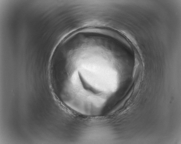 X0000056371008200509161849