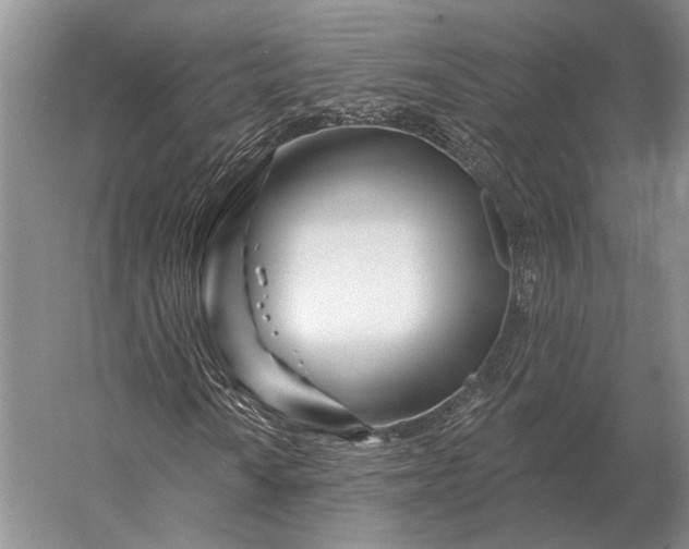 X0000056371010200509161848